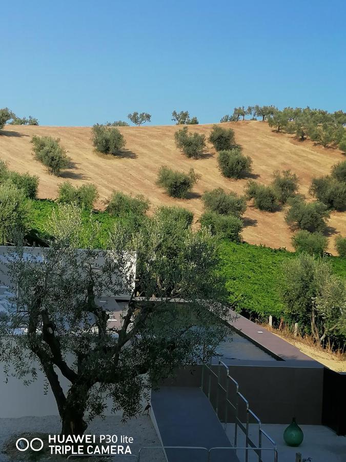 Cantina Loft Chieti Bagian luar foto